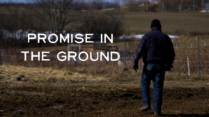 Promise in the Ground title slide