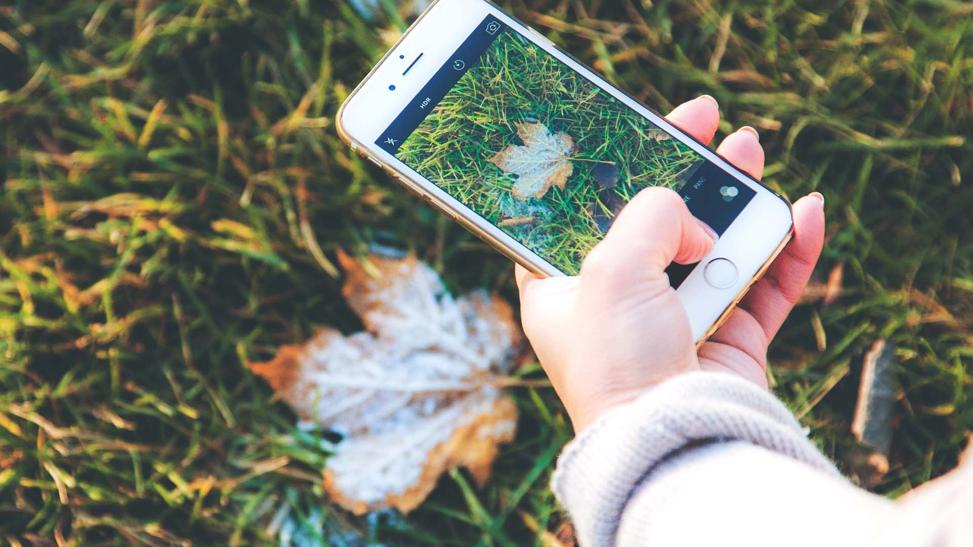 Photojournalism for high school students University of King