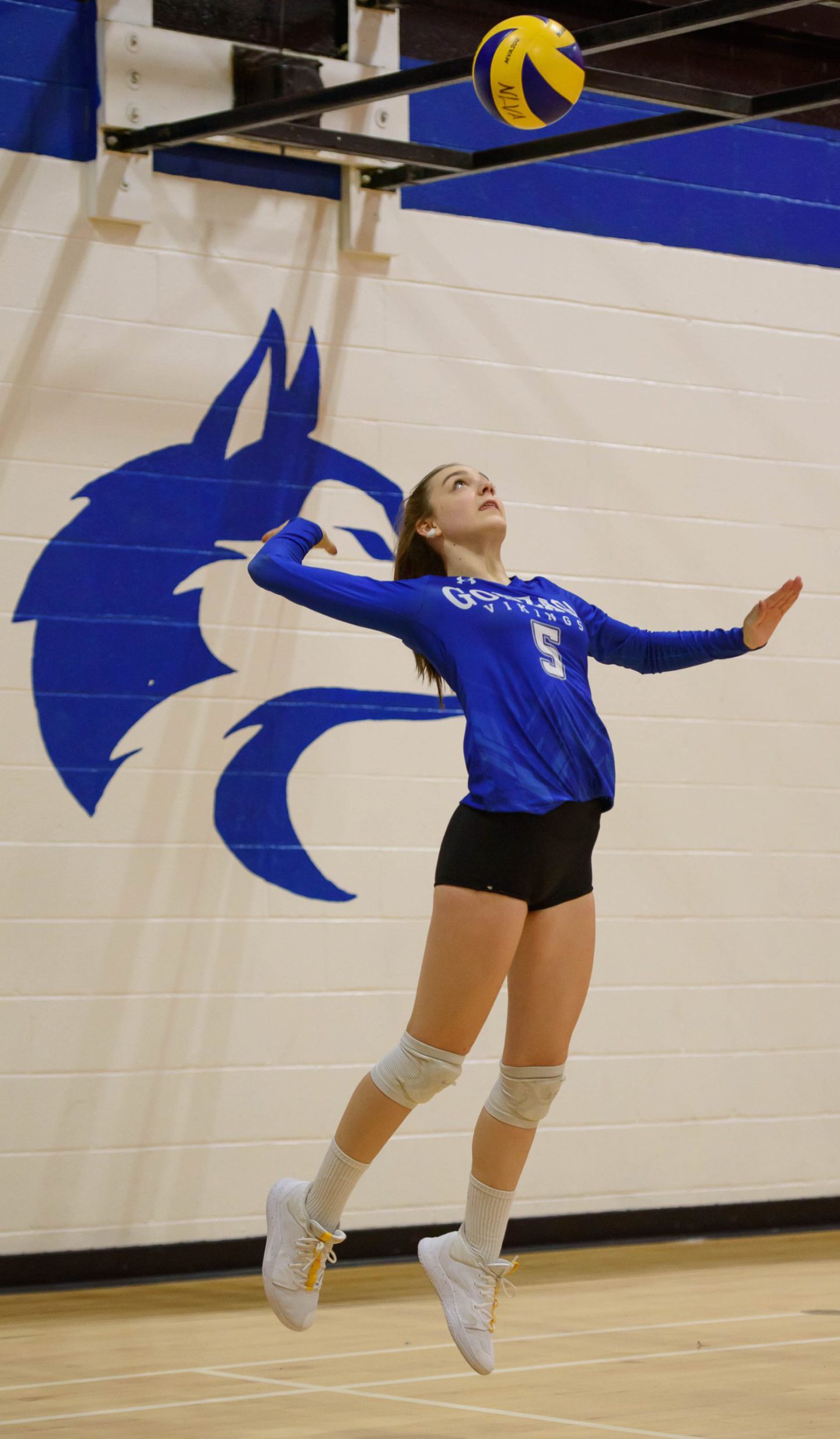 Women s Volleyball Adds Ella Walsh University Of King s College