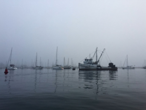 boats floating in harbour with hazy, foggy skies