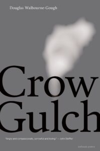 Book cover of Crow Gulch indistinct image
